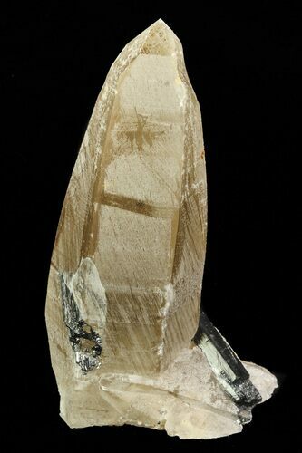 Smoky Quartz Crystal with Black Tourmaline (Schorl) - Namibia #69190